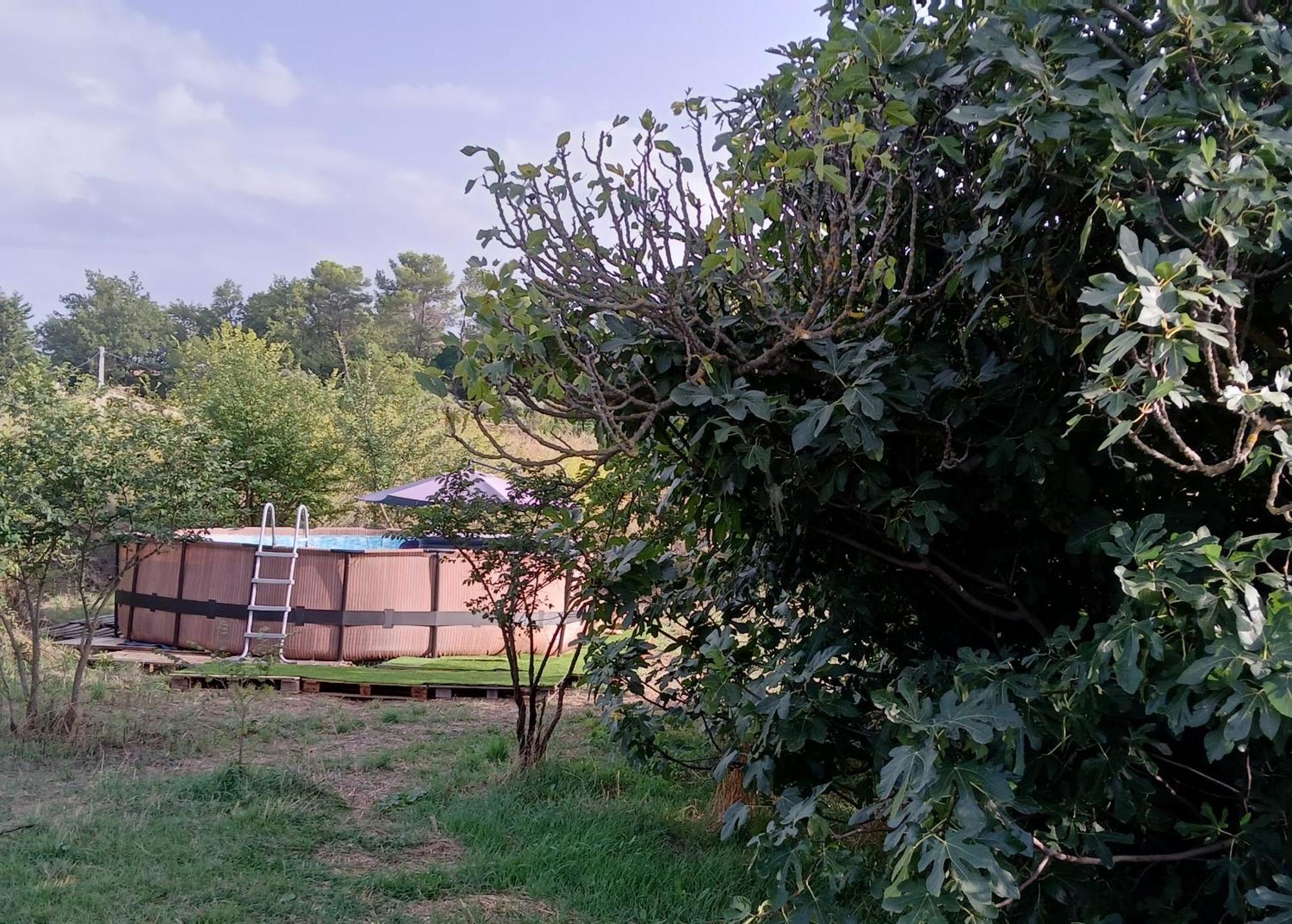 Villa Des Arnoux Dans La Vigne Draguignan Luaran gambar